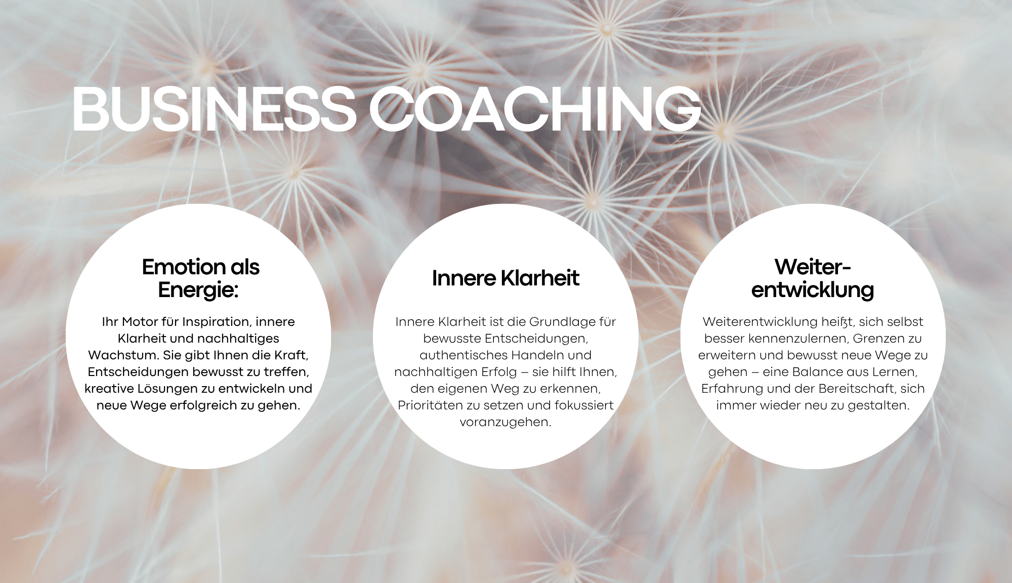 Business Coaching für emotionale Intelligenz und Innere Klarheit