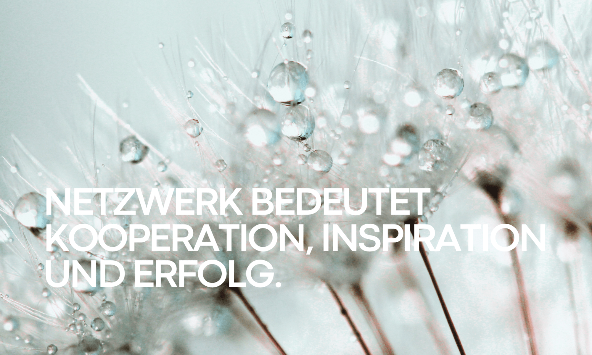 Netzwerk bedeutet Kooperation, Inspiration und Erfolg.